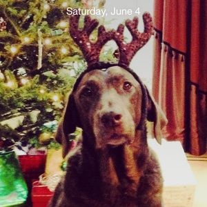 Meet your Posher, Sandy